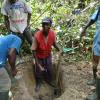 The traditional tool used for digging a hole has a chisel pointed metal end attached to a straight branch. This tool is rammed into the ground and a hole is fairly efficiently dug.