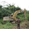 320B CAT excavator starts clearing a path into the bush.