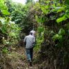 Hiking through dense bush to get to a place where some detecting is possible.